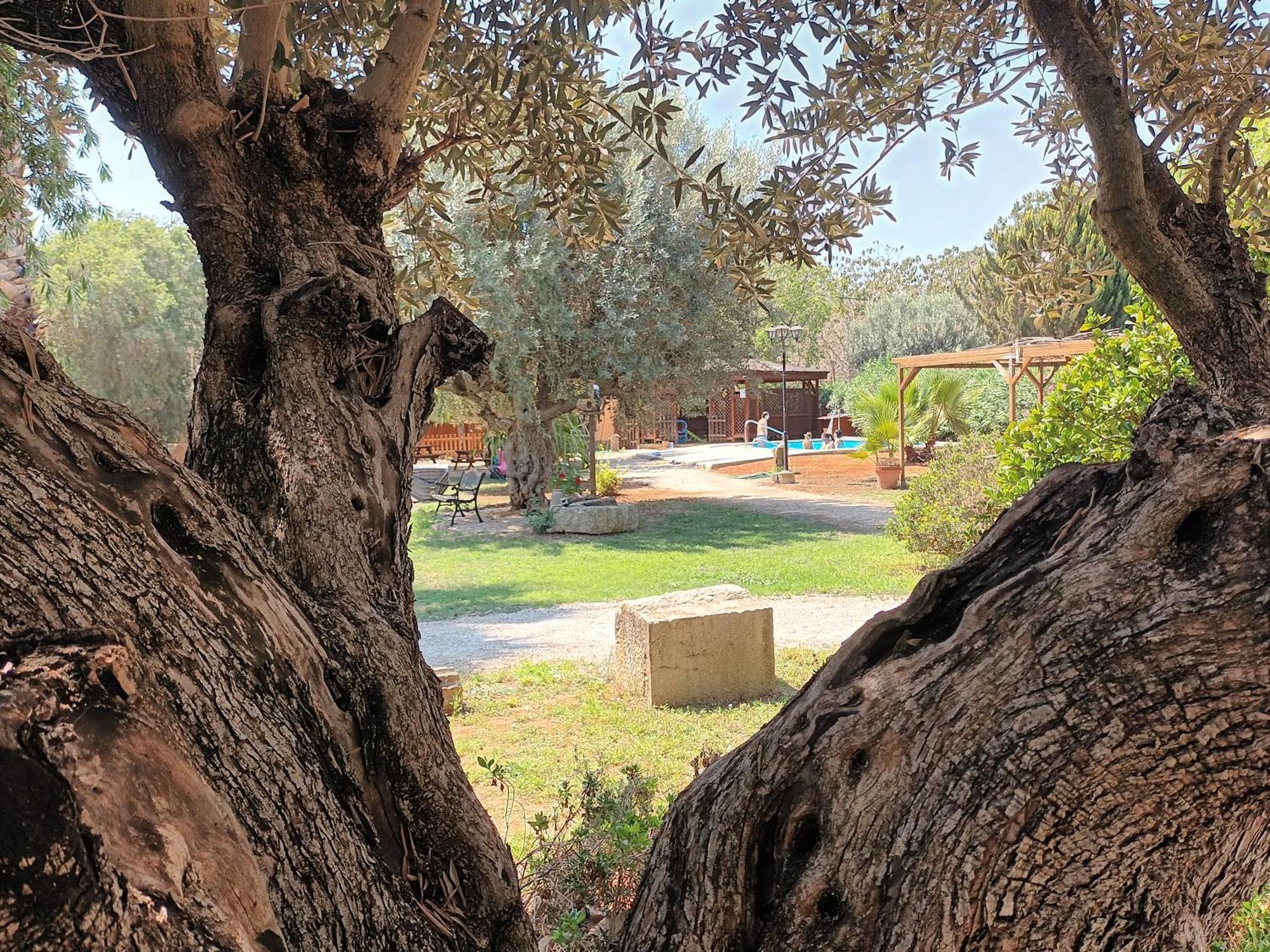Benicolet Entre Viejos Olivos 빌라 외부 사진