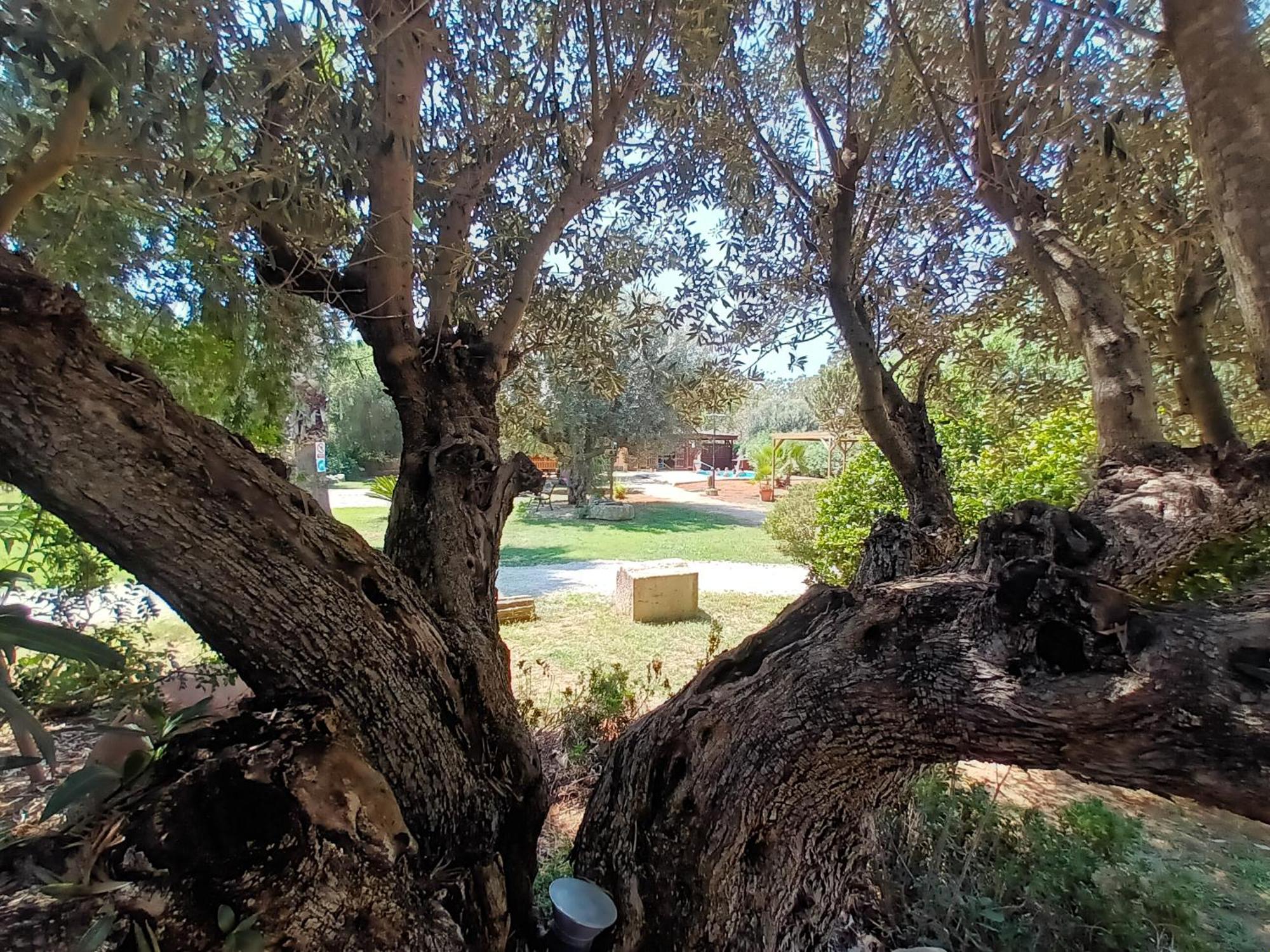 Benicolet Entre Viejos Olivos 빌라 외부 사진